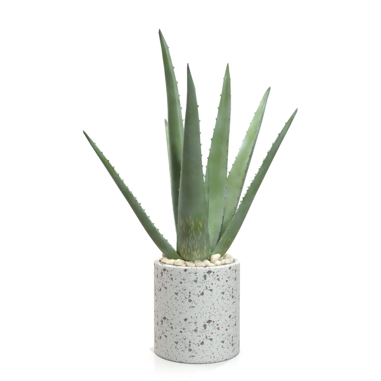 Healthy Aloe Vera Plant In Ceramic Vase PBR 3D Model_06